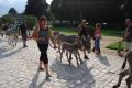 DSC_0271.jpg